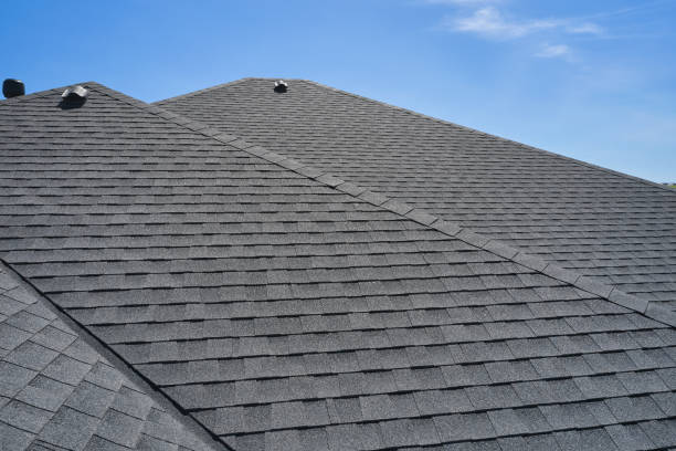 Roof Coating Services in Lake Fenton, MI