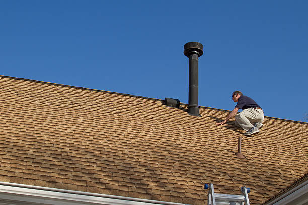 Best Chimney Flashing Repair  in Lake Fenton, MI