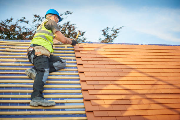 Best Metal Roofing Installation  in Lake Fenton, MI
