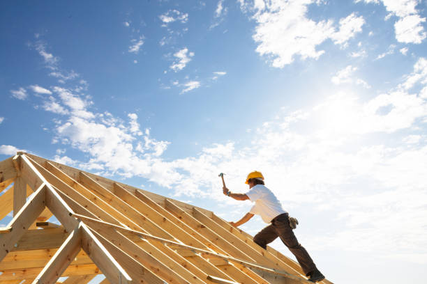 Best Roof Moss and Algae Removal  in Lake Fenton, MI